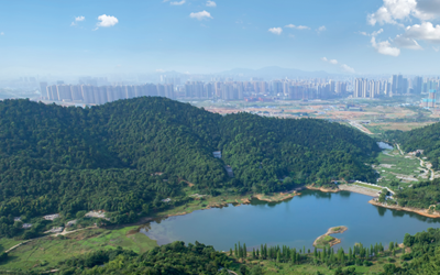 今年会·(中国集团)官方网站