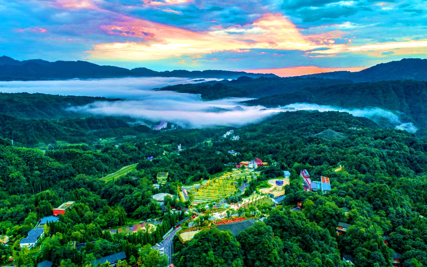 今年会·(中国集团)官方网站