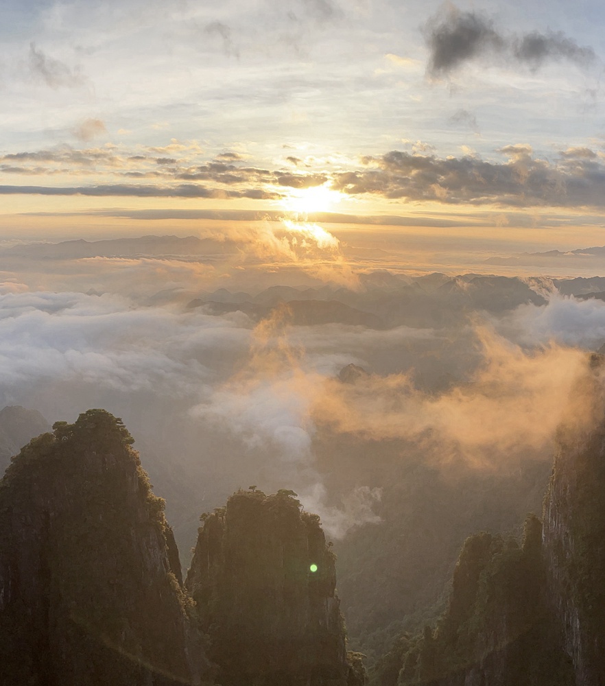 今年会·(中国集团)官方网站
