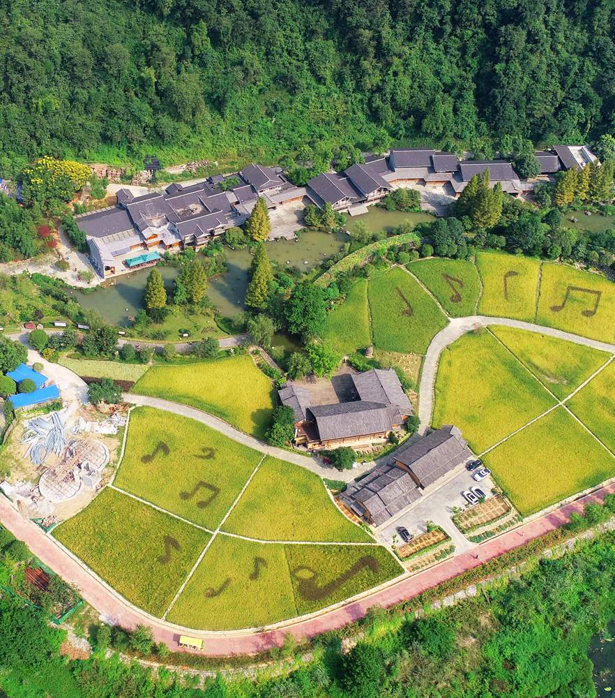 今年会·(中国集团)官方网站